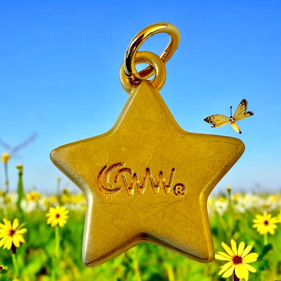 Weight Watchers Gold Star Charm Pendant Jewelry WW Collectible New - Picture 5 of 5